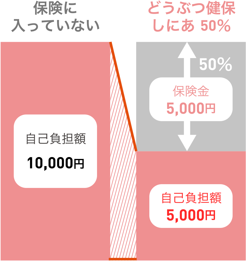 入院2日 診療費 10,000円の場合<