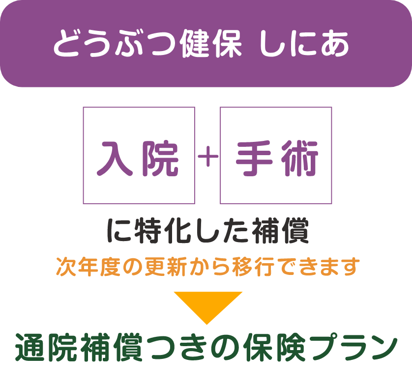 次年度更新から移行できます