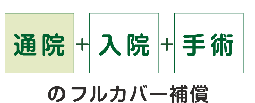 次年度更新から移行できます