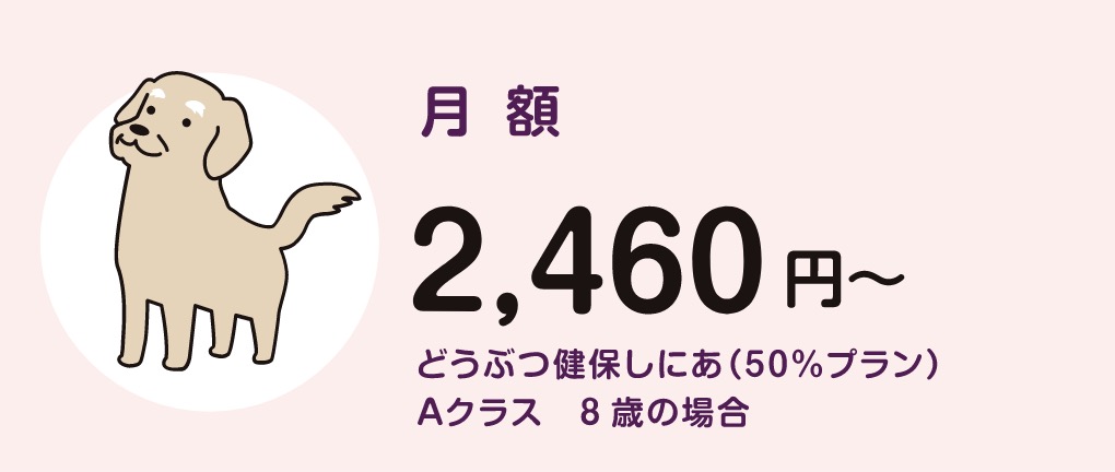 月額2,460円~