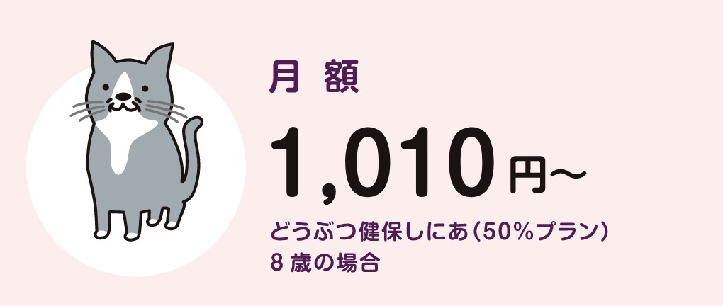 月額1,010円~