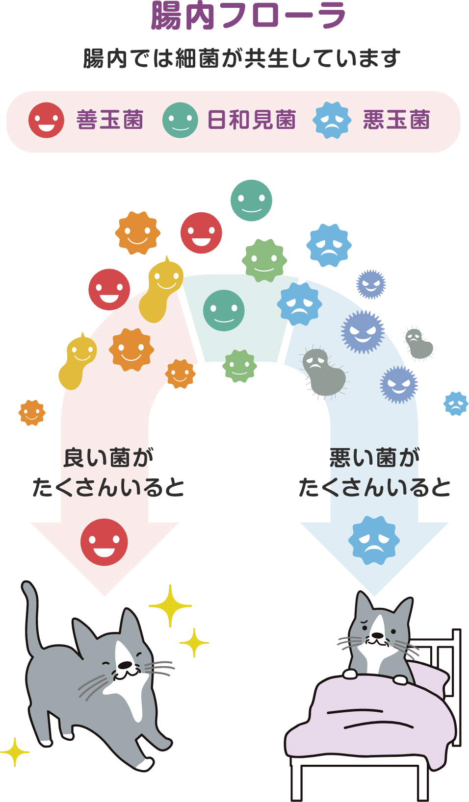 腸内フローラ