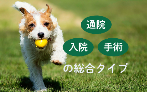 通院 入院 手術の総合タイプ