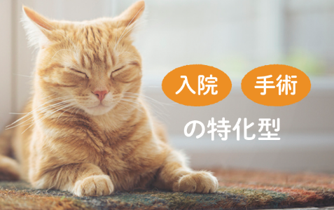 入院 手術の特化型