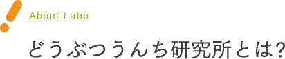 About Labo どうぶつうんち研究所とは？