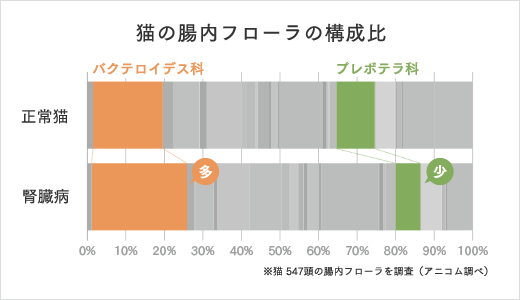 猫の腸内フローラの構成比のグラフ