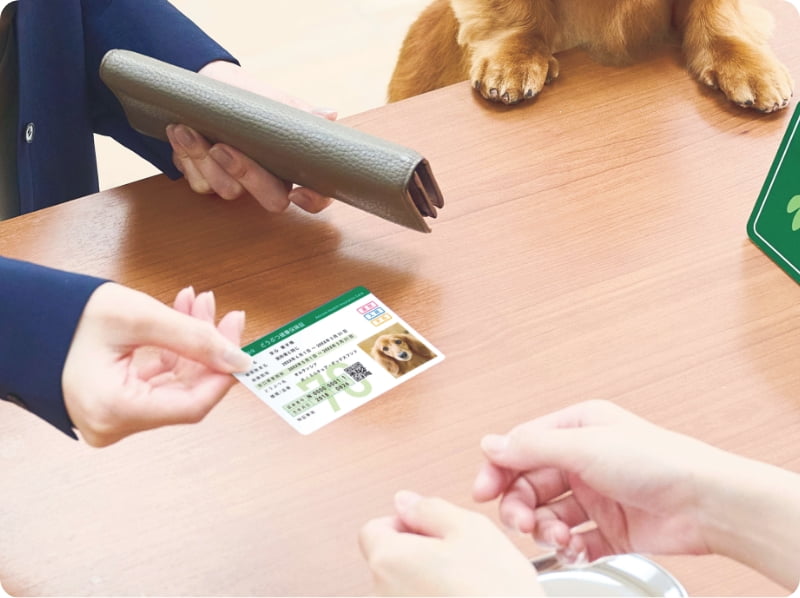 全国の動物病院で使える！