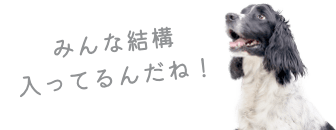犬