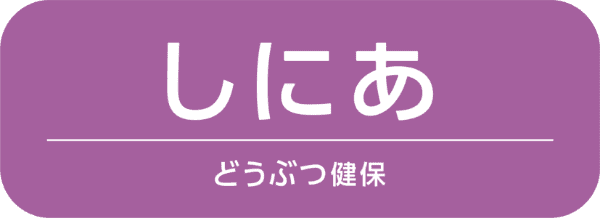 シニア