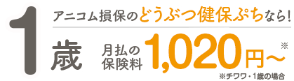 5歳月払の保険料1,140円~