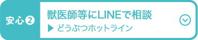 獣医師等にLINEで相談 どうぶつホットライン