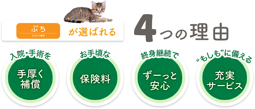 アニコム損保のペット保険 どうぶつ健保ぷちが選ばれる4つの理由