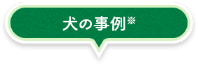 犬の事例