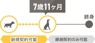 ペット保険契約には年齢制限があります!