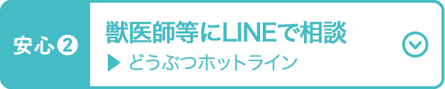 獣医師等にLINEで相談 どうぶつホットライン