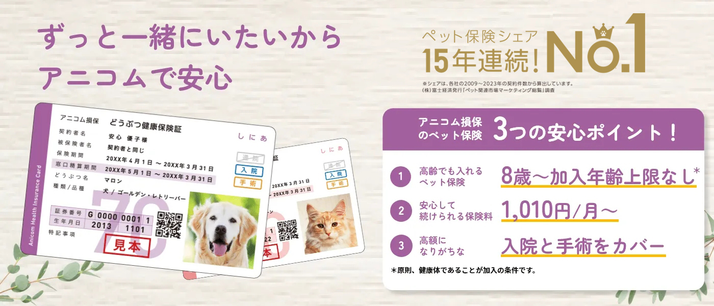 ずっと一緒にいたいから アニコムで安心