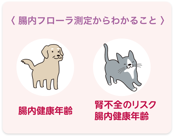 腸内フローラ測定の判断基準