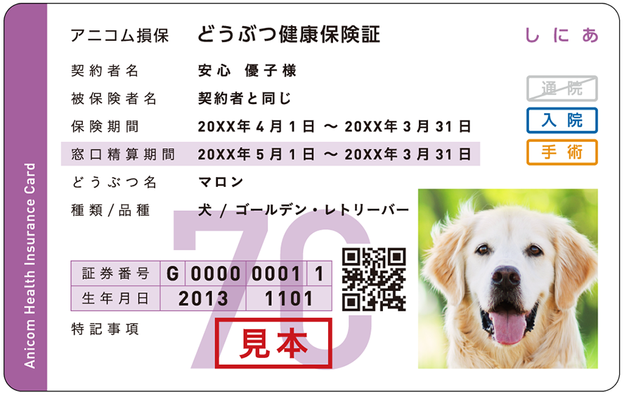 どうぶつ健康保険証