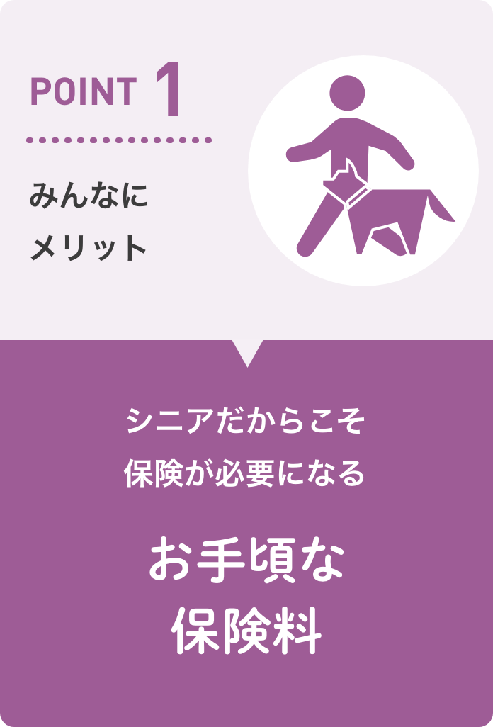 お手頃な保険料