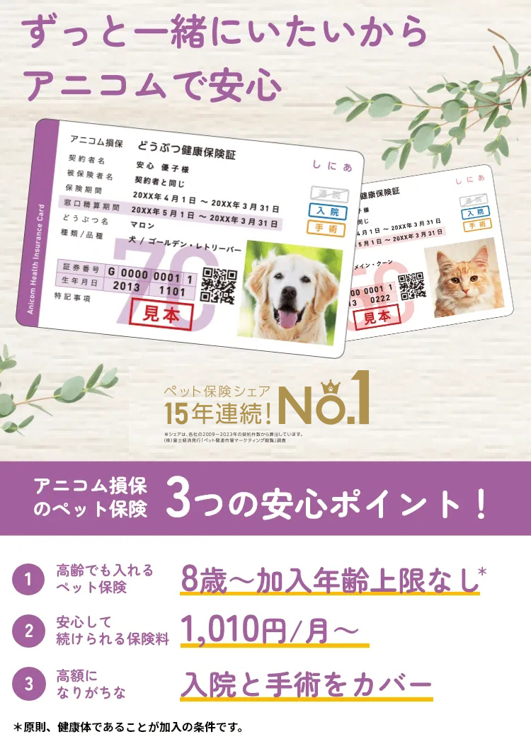 ずっと一緒にいたいから アニコムで安心