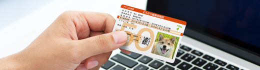 有効性確認システム