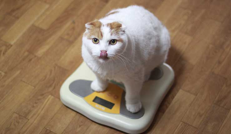 考慮すべき要素