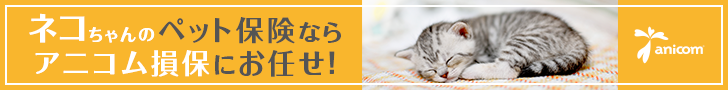 猫ちゃんの保険ならアニコム損保におまかせ