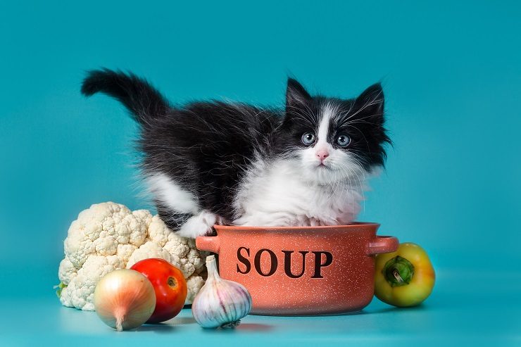 いけない て は もの 猫 が 食べ