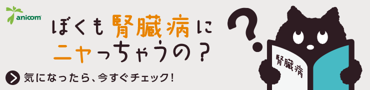 人間 猫 年齢