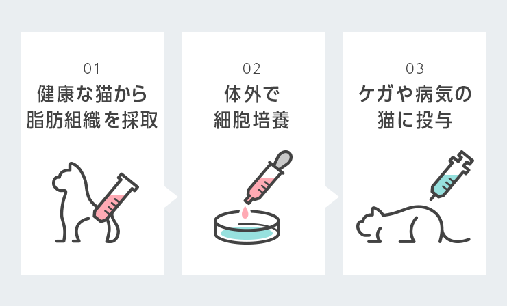 再生医療の流れ