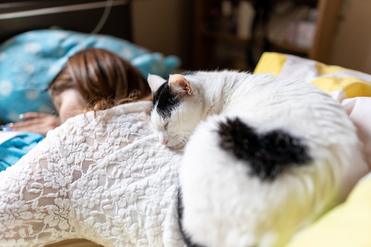 女の子の背中で眠る白黒猫