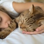 猫が入院や手術をするときにかかる費用はどれくらい?病気別に調査