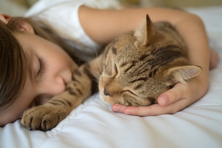 女の子と気持ちよさそうに眠る猫