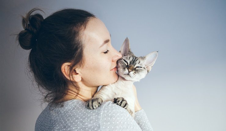 猫を抱っこする
