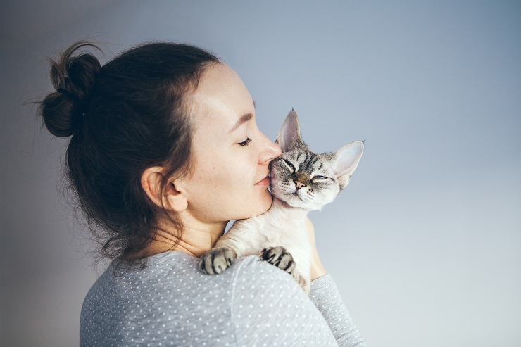 猫を抱っこする