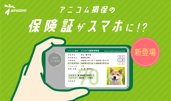 保険証がスマホに