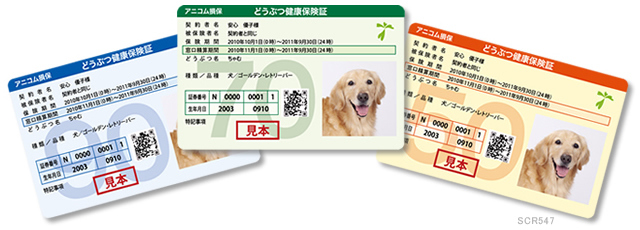 どうぶつ健康保険証