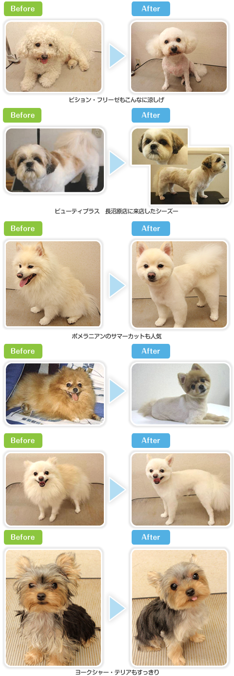 サマーカット