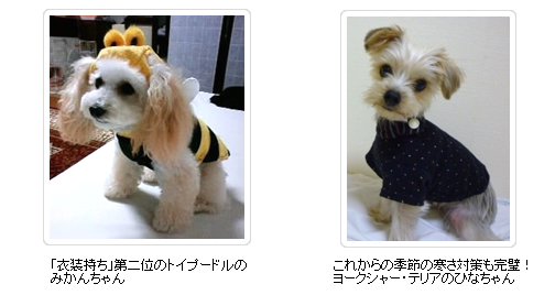 みかんちゃん　ひなちゃん