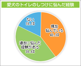 愛犬のトイレのしつけに悩んだ経験