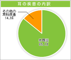 耳の疾患の内訳