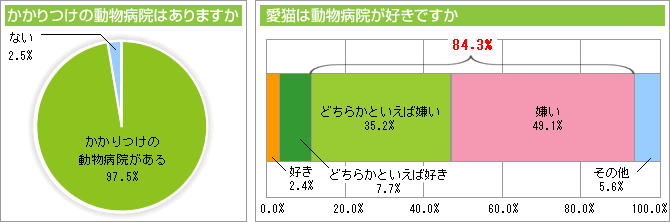 かかりつけの動物病院はありますか 愛猫は動物病院が好きですか