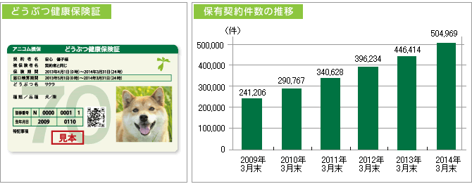 どうぶつ健康保険証　保有件数の推移