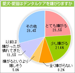 愛犬・愛猫はデンタルケアを嫌がりますか