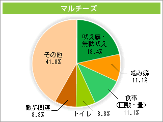 マルチーズ