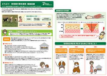 賠償責任事故通信