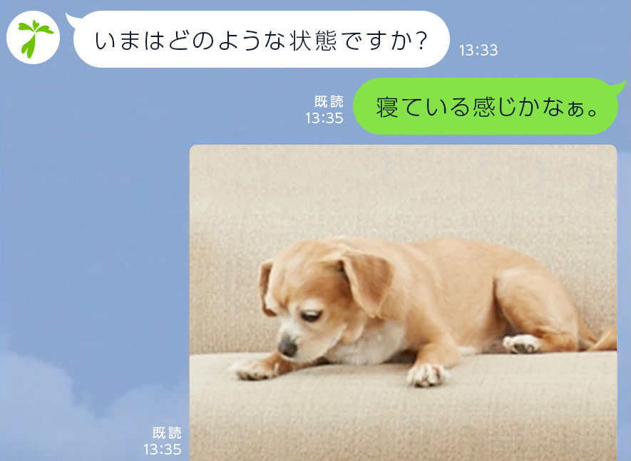 写真や動画を送信できる