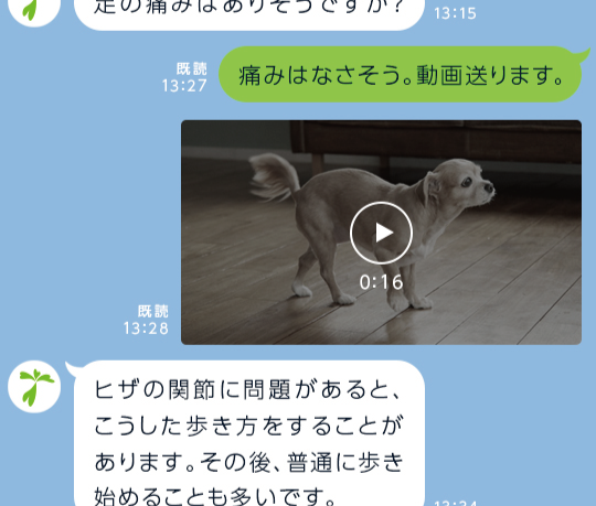 PR 動画