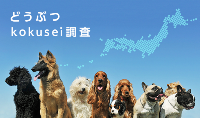 どうぶつkokusei調査