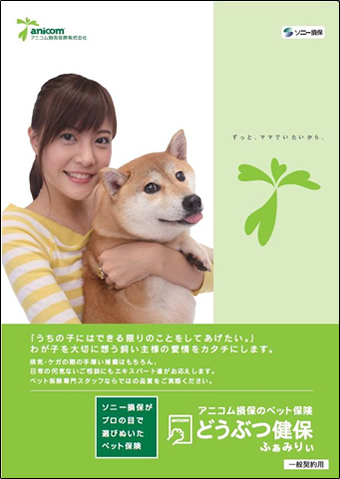ソニー損保　商品パンフレット